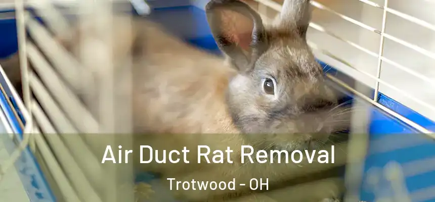  Air Duct Rat Removal Trotwood - OH