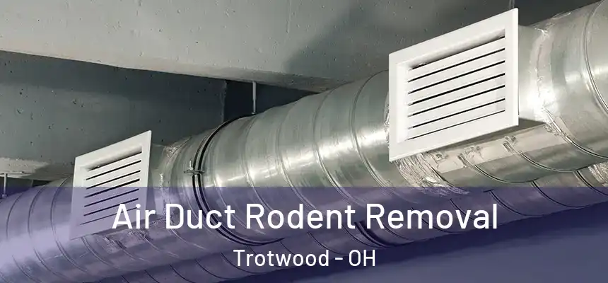 Air Duct Rodent Removal Trotwood - OH