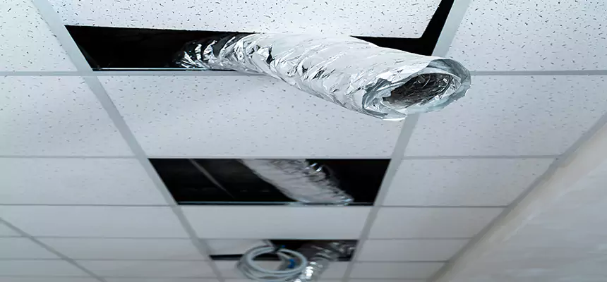 Affordable HVAC Sanitizing After Pest Removal in Trotwood