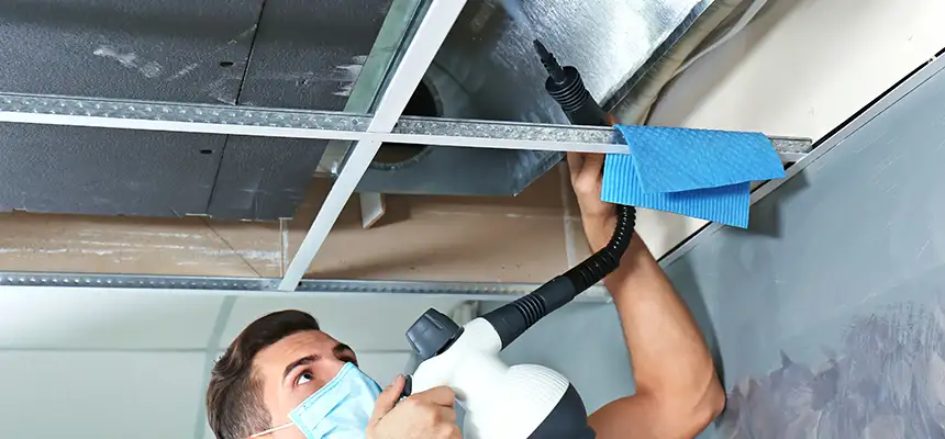 Our Air Duct Rodent Removal Services in Trotwood, OH