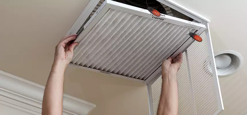 Our Insect Removal from Air Ducts Services in Trotwood, OH