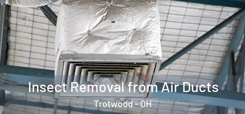 Insect Removal from Air Ducts Trotwood - OH