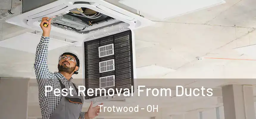  Pest Removal From Ducts Trotwood - OH