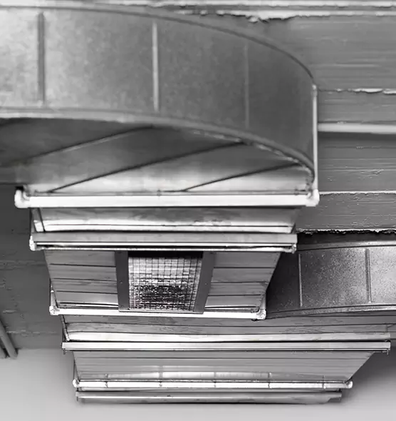 Professional Air Duct Pest Removal in Trotwood, OH