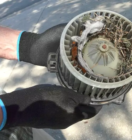 About Air Duct Rat Removal in Trotwood, OH