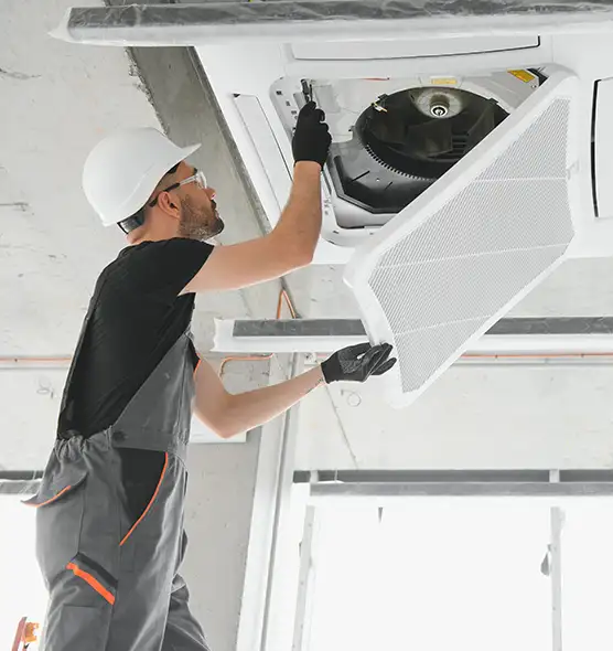 About Air Duct Rodent Removal in Trotwood, OH