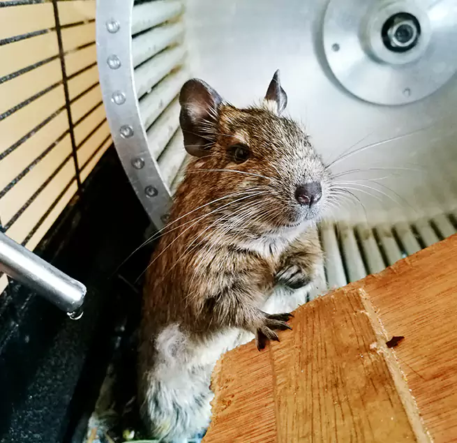 Why Homeowners & Businesses Trust Us Trotwood, OH