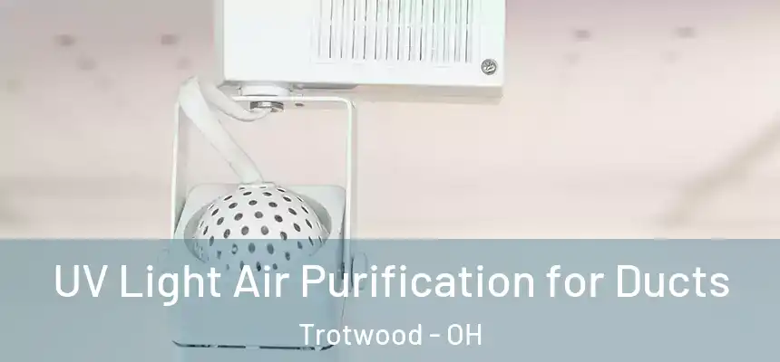  UV Light Air Purification for Ducts Trotwood - OH
